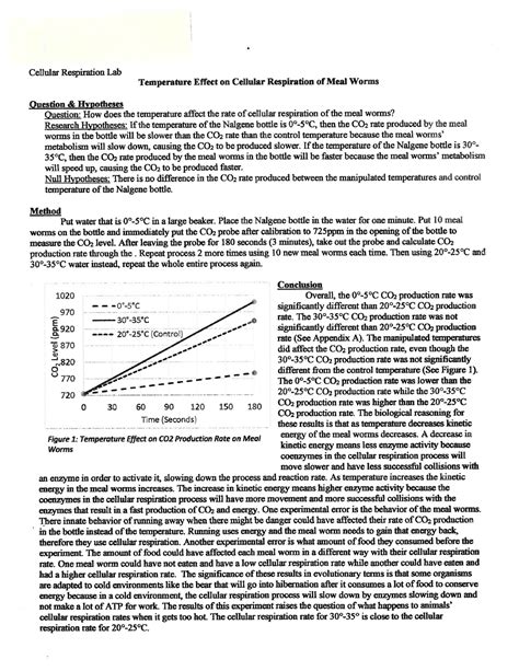 ap biology lab report template